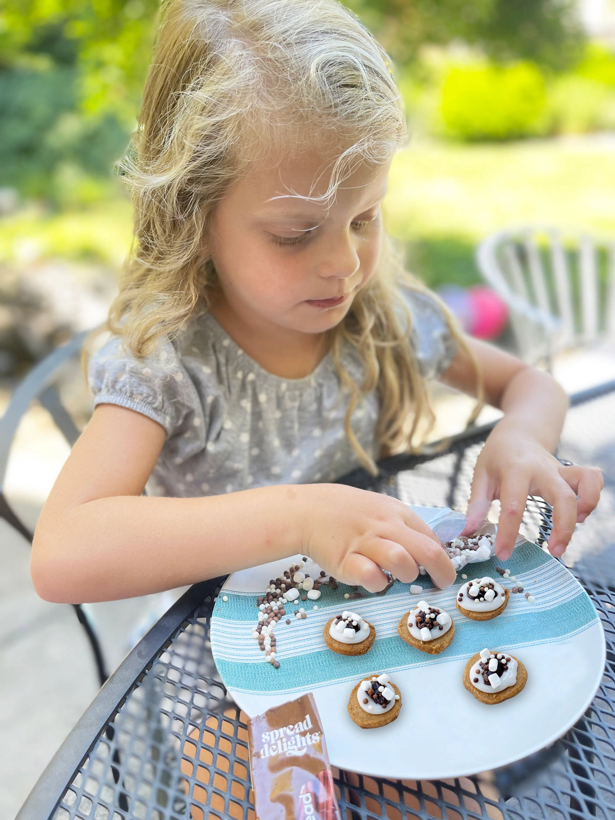 Crackerology Desserts Sweet Smores or Lemon Blueberry